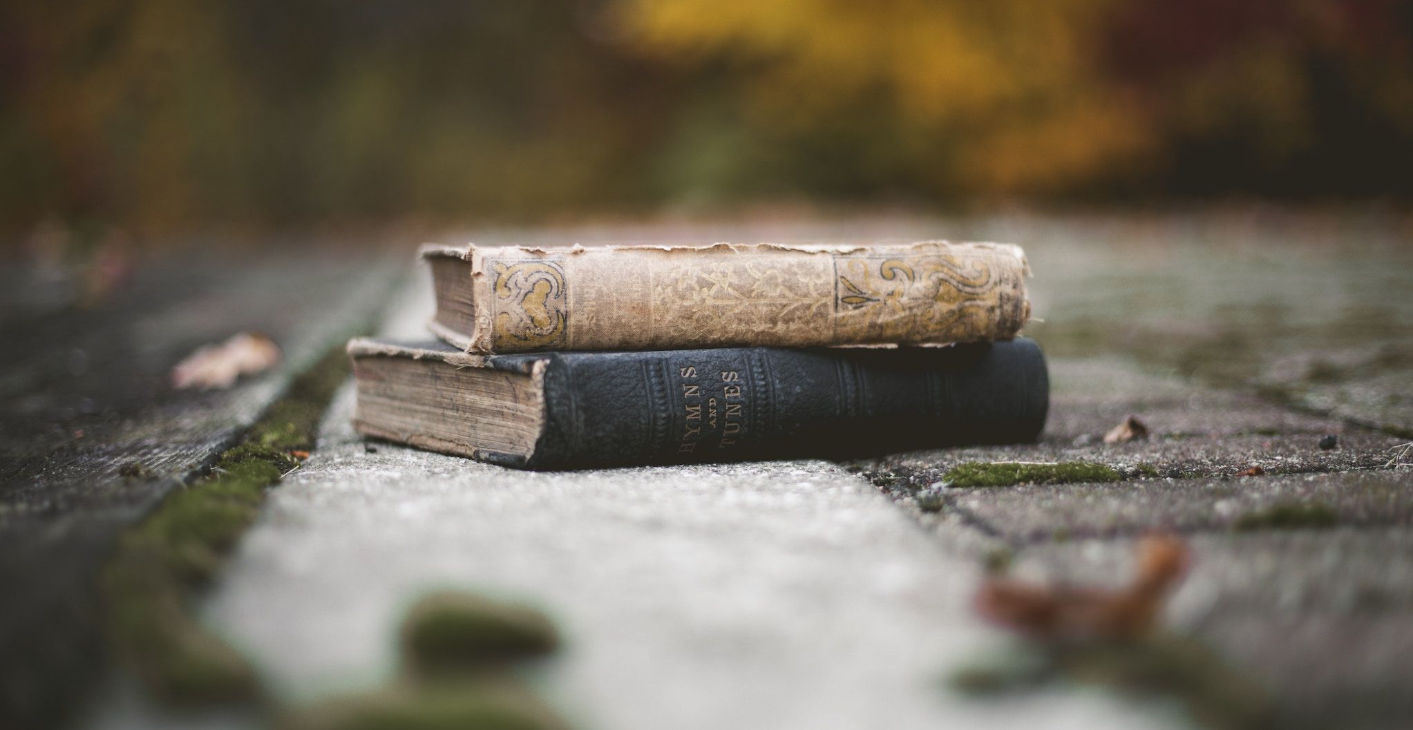 推荐阅读 2019-03-15 - 停止学习框架