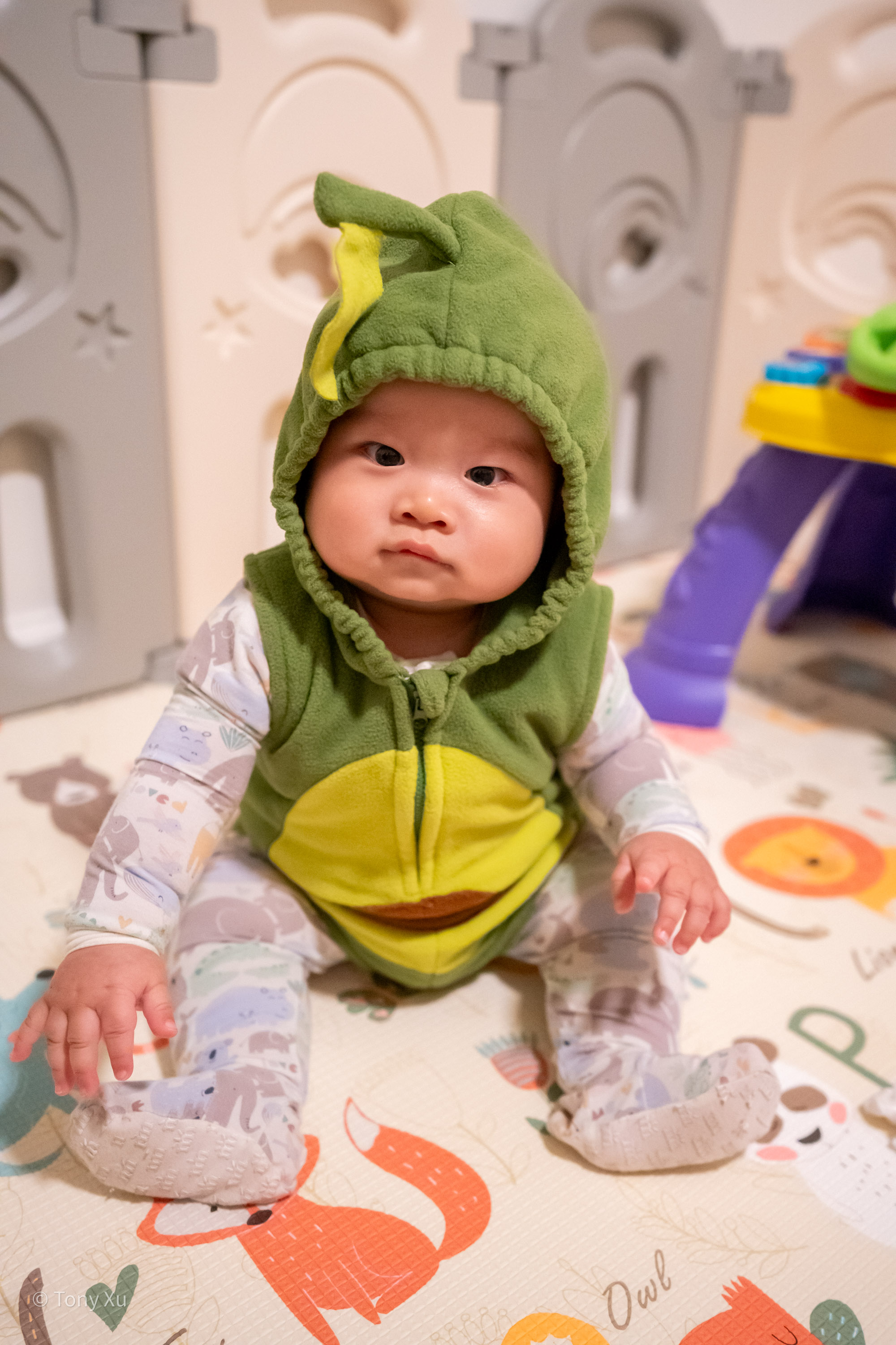 7 Months